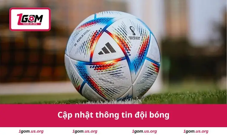 Cập nhật thông tin đội bóng