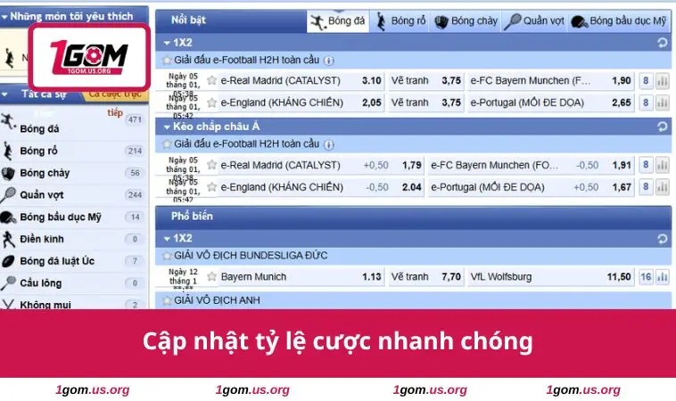 Cập nhật tỷ lệ cược nhanh 