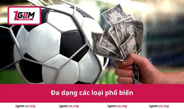 Odds Là Gì? Mẹo Sử Dụng Odds Để Tối Đa Lợi Nhuận Khi Cược 2 Đa dạng các loại phổ biến