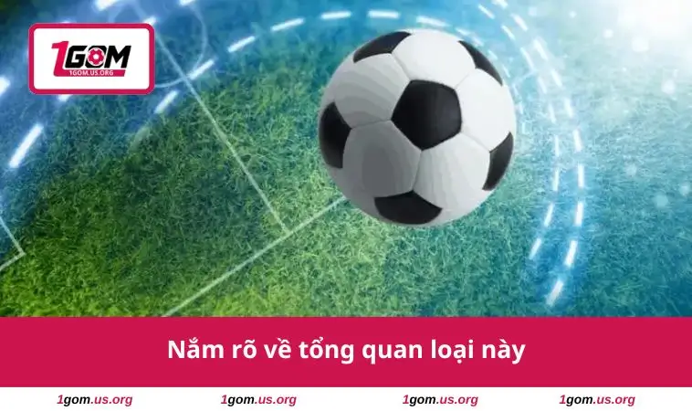 Nắm rõ về tổng quan loại này