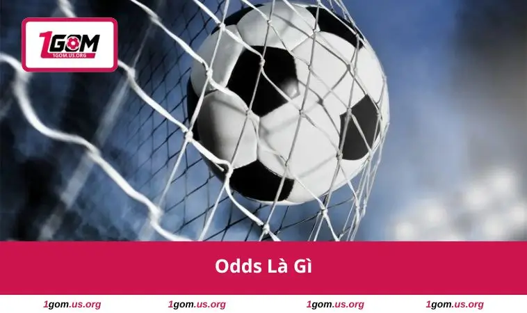 Odds Là Gì