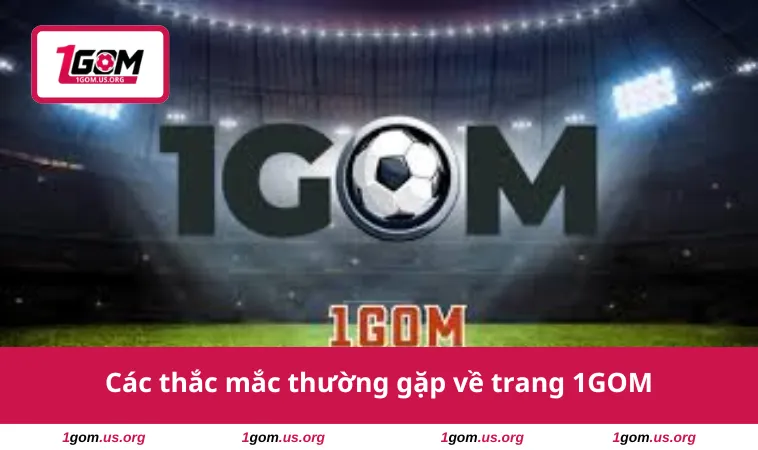 1GOM 29 Các thắc mắc thường gặp về trang 1GOM